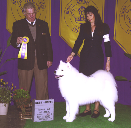 Best of Breed
