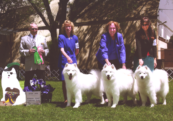 Denali wins stud dog at specialty